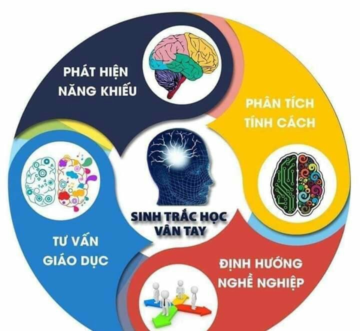 SINH TRẮC VÂN TAY CHUYÊN SÂU